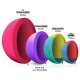 SportsPET Ball Guide