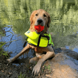 Spunky Pup Fetch & Glow In Dark Ball (Assorted Colours)