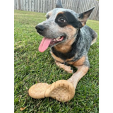 Tall Tails Wobbler Chew Toy for Dogs – Infused with Bacon Scent.