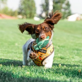 Tall Tails Baby Turtle Plush Toy for Dogs