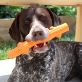 Tall Tails G.O.A.T. Rubber Fetch Stick - Durable Floating Dog Toy