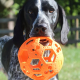 Tall Tails G.O.A.T. Rubber Flex-a-Ball - Flexible Fetch, Tug, and Treat Toy for Dogs