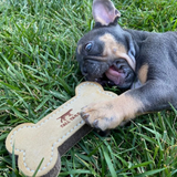 Tall Tails Natural Leather & Wool Bone Toy for Dogs