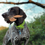 Tall Tails Natural Leather & Wool Rabbit Toy for Dogs