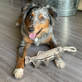 Tall Tails Natural Leather & Wool Trout Tug Toy for Dogs