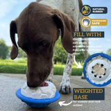 Tall Tails Natural Rubber Polar Toy – Freezable Dog Treat Dispenser.