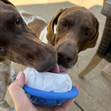 Tall Tails Natural Rubber Polar Toy – Freezable Dog Treat Dispenser.