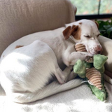 Tall Tails Plush Crunch Gator - Durable, Squeak & Crinkle Toy for Dogs