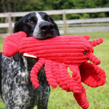 Tall Tails Plush Crunch Lobster - Durable, Squeak & Crinkle Toy for Dogs