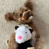 Tall Tails Plush Possum with Inner Rope Body - Durable, Squeaky Tug Toy for Dogs