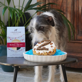 The Innocent Hound Birthday Cake Mix with British Duck