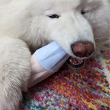 The Ubbe Modern Licking Toy
