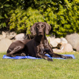 Trixie Blue Cooling Mat for Dogs