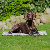 Trixie Grey Soft Cooling Mat for Dogs