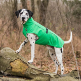 Trixie Vimy Raincoat Green