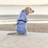 Trixie Vimy Raincoat Light Lilac