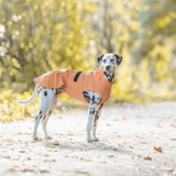 Trixie Vimy Raincoat Orange