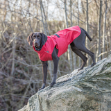 Trixie Vimy Raincoat Red