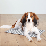 Trixie White & Grey Cooling Mat for Dogs