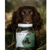 Verm-X Flea and Tick Powder