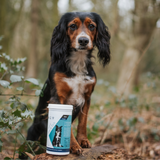 Verm-X Flea and Tick Powder