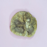 Waita Freeze-Dried Beef Kidney