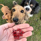 W'zis Treat Grab&Go Wowzers