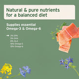 AniForte Salmon Oil - Pure Omega-3 Supplement for Healthy Skin, Coat & Joints