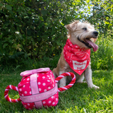 Ancol Its My Birthday Present Pink - Squeaky, Plush Birthday Toy for Dogs