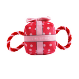 Ancol Its My Birthday Present Pink - Squeaky, Plush Birthday Toy for Dogs