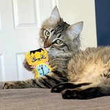 KONG Artz Dali Van Gogh 2 Pack - Plush Catnip Infused Toys for Cats