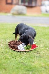 Rosewood Pudding Snuffle Forage Mat