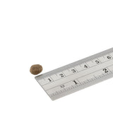 Fish4Dogs Finest Adult White Fish With Potato (Small Kibble)