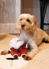 Rosewood Sylvester Santa