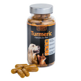 Golden Paste Co. Turmeric Capsules