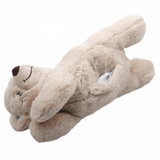 All For Paws Little Buddy Warm Bear