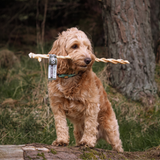 Anco Naturals Buffalo Braid