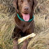 Anco Naturals Buffalo Roll