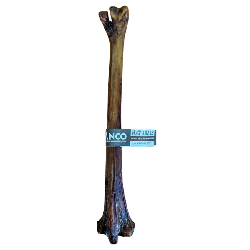 Anco Naturals Ostrich Metatarsus Bone