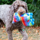 Anco Pawty Piñata