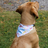 Ancol Gotcha Bandana