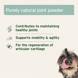 AniForte Green Lipped Mussel Powder for Dogs & Cats
