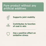 AniForte MSM Powder for Dogs & Cats