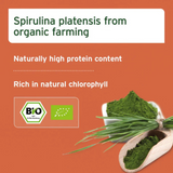 AniForte Organic Spirulina Powder