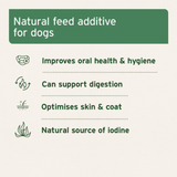 AniForte Seaweed Powder for Dogs