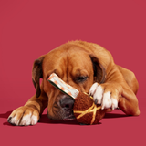 Bark A Squeaky Meat-A-Ball