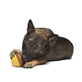 Bark Acornucopia