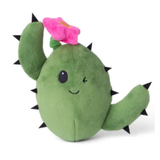 Bark Consuela The Cactus