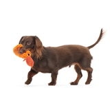 Bark Della Crawfish