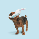 Bark Green Thumb Bun